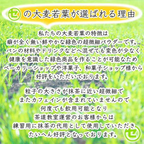 【業務用】大麦若葉 大隅半島産  スティック1,000本(1本1.5g入)