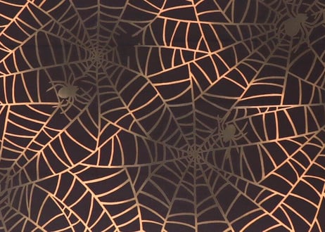 SPIDERs