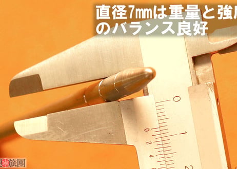チタンペグ 20cm (No brand)