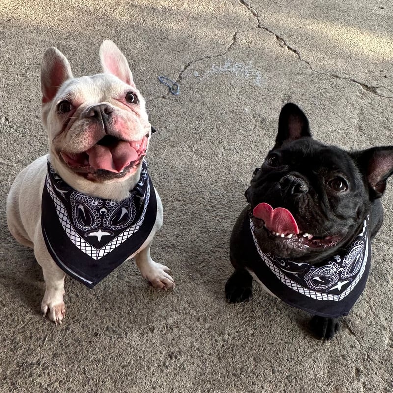 LeRIRO福岡】オリジナルバンダナ | ukihalove. STORE