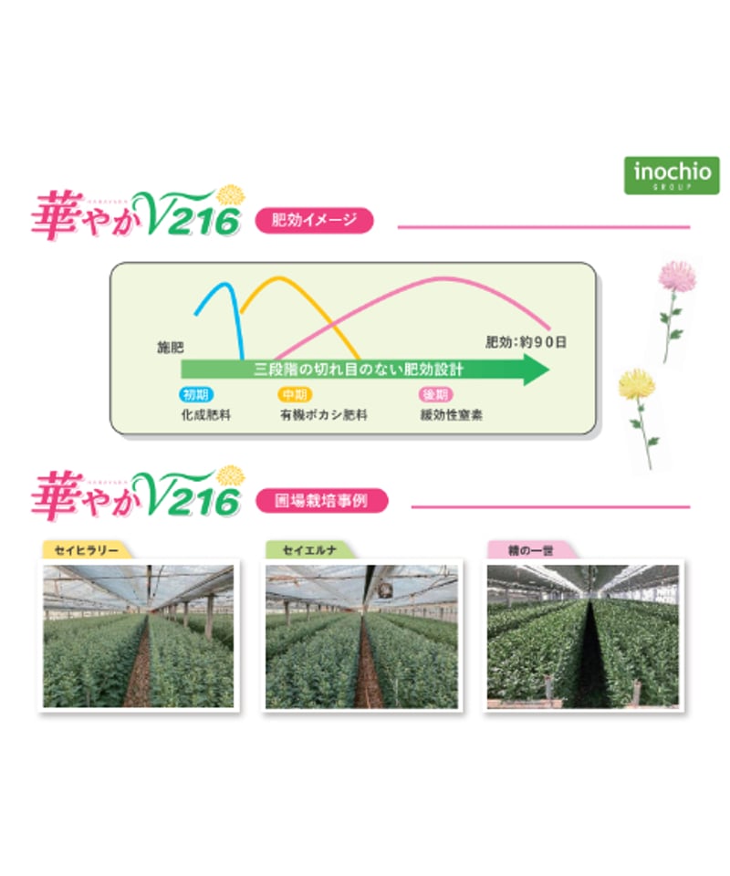 キク用肥料 華やか V216 20kg×25袋（省力型一発肥料 元肥） | イノチオ