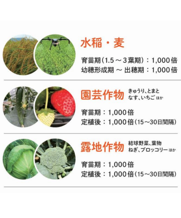 Si-100 酸性ケイ酸資材 10L ※送料込み ドローン対応 | イノチオ精興園