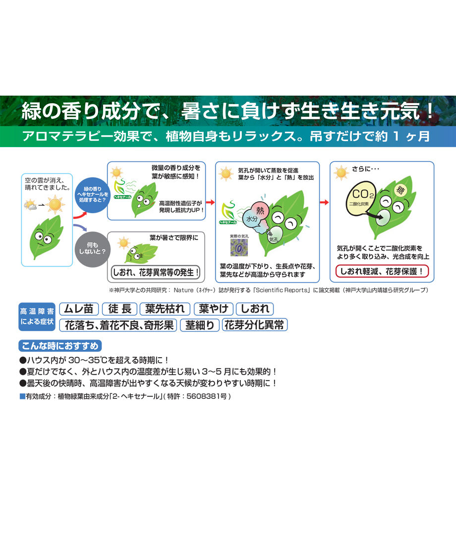 すずみどり 8g×10個入り（施設内吊り下げ：高温対策） | イノチオ精興