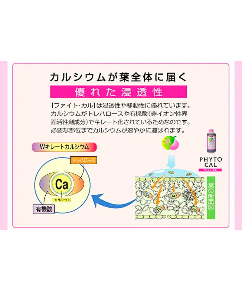 ファイトカル 4ℓ（葉面散布剤：Ca） | イノチオ精興園 For Growers