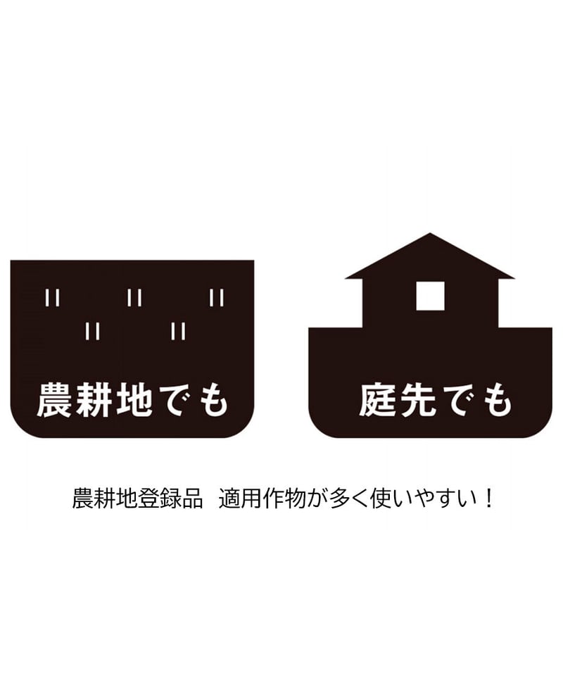 琉球料理全書 伝承料理 薬草 1巻欠品 琉球料理全書 伝承料理 薬草 1巻欠品 琉球料理全書 1・2巻