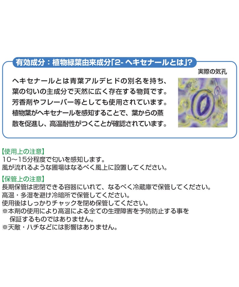 すず様確認用 suzu様確認用