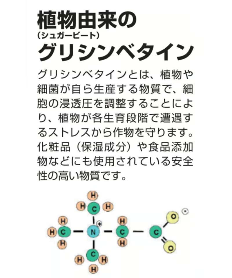 グリーンステム 500g（葉面散布：高温乾燥・凍霜害の防御） | イノチオ