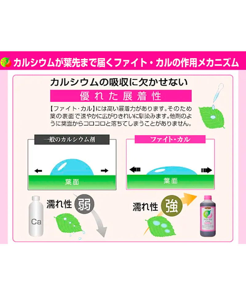 ファイトカル 4ℓ（葉面散布剤：Ca） | イノチオ精興園 For Growers
