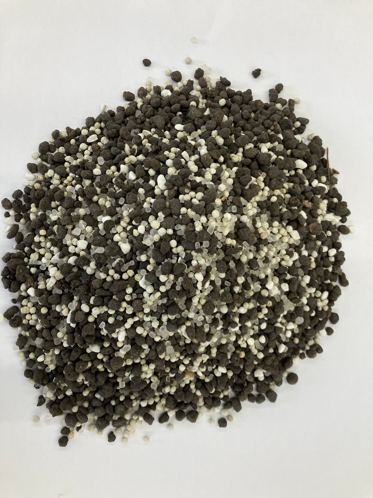 大容量　2100g　(国産・高品質)乾燥パパイヤの茎（無農薬・有機肥料） 何でも揃う 大容量 2100g (国産・高品質)乾燥パパイヤの茎（無農薬