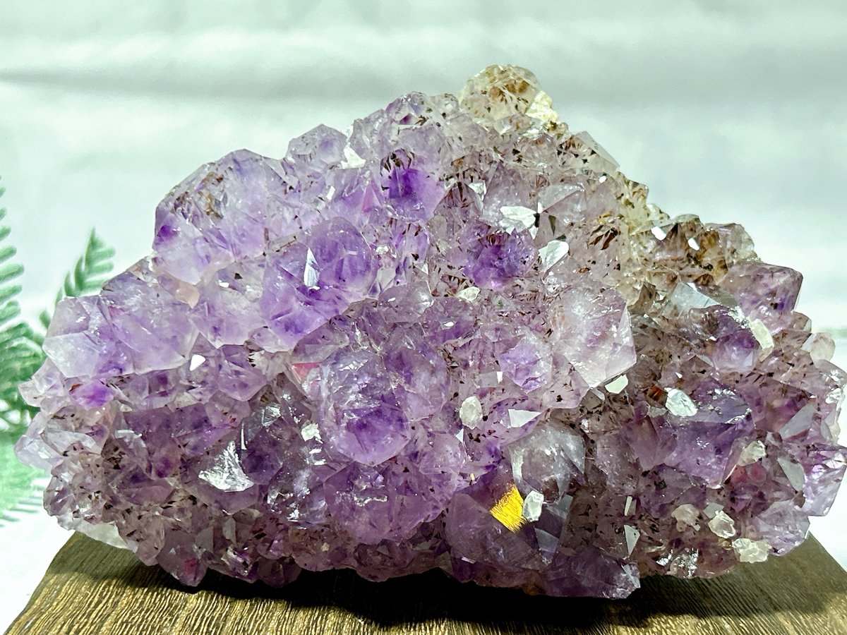 ブラジル産アメジスト 大きなクラスター | 霽月洞-seigetsudou-鉱物
