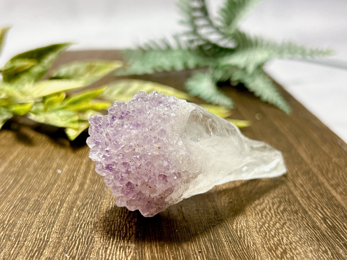 アッさん様 ウルグアイアメジストカップケーキ♡花束♡クラスターNo.1168 花束のようなスノーキャップアメジスト | 霽月洞-seigetsudou