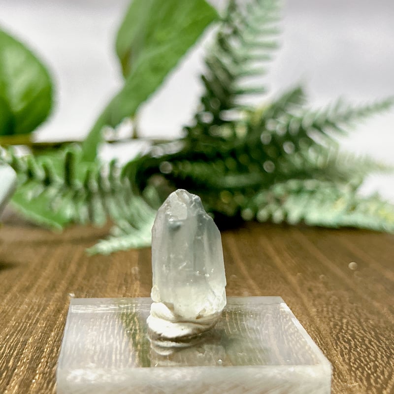 専用ページ ブラジルミナスジェライス州産 謎のインクォーツ ポリッシュ ブラジルミナスジェライス州産 謎のインクォーツ ポリッシュ