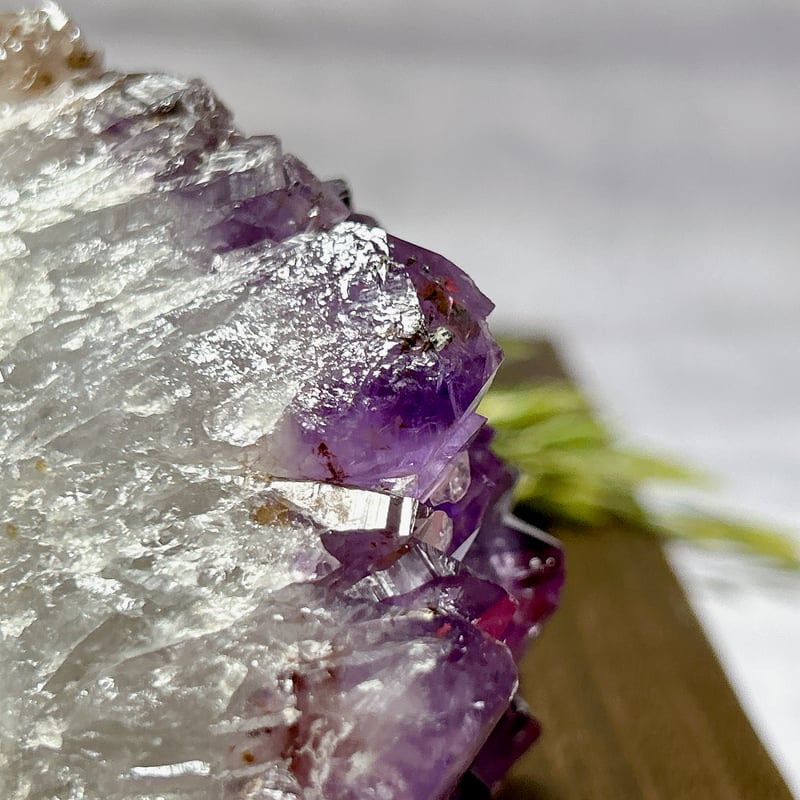 ブラジル産アメジスト 大きなクラスター | 霽月洞-seigetsudou-鉱物