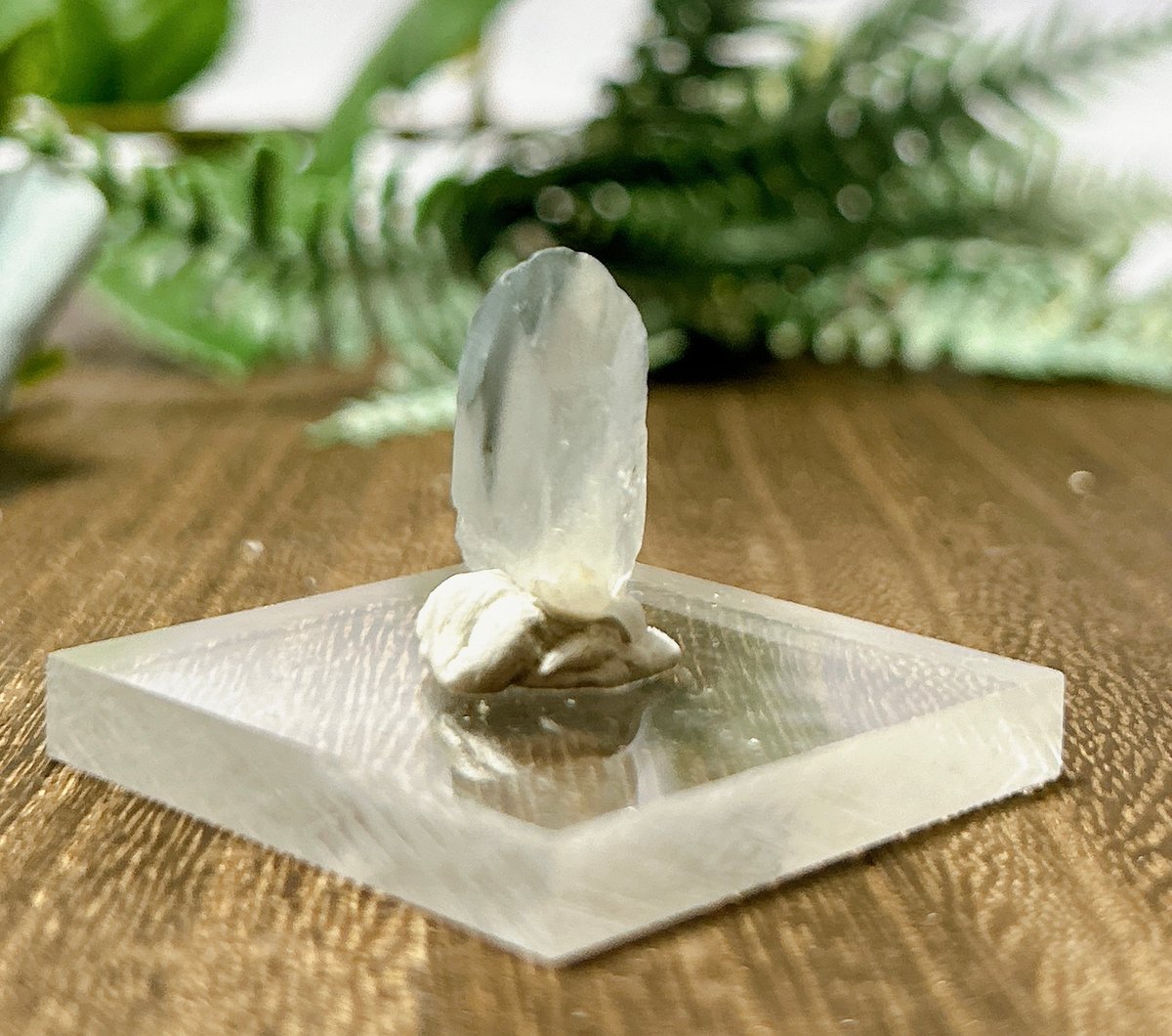 ブラジル・ミナスジェライス州産 ブルーターラクォーツ(リーベカイト