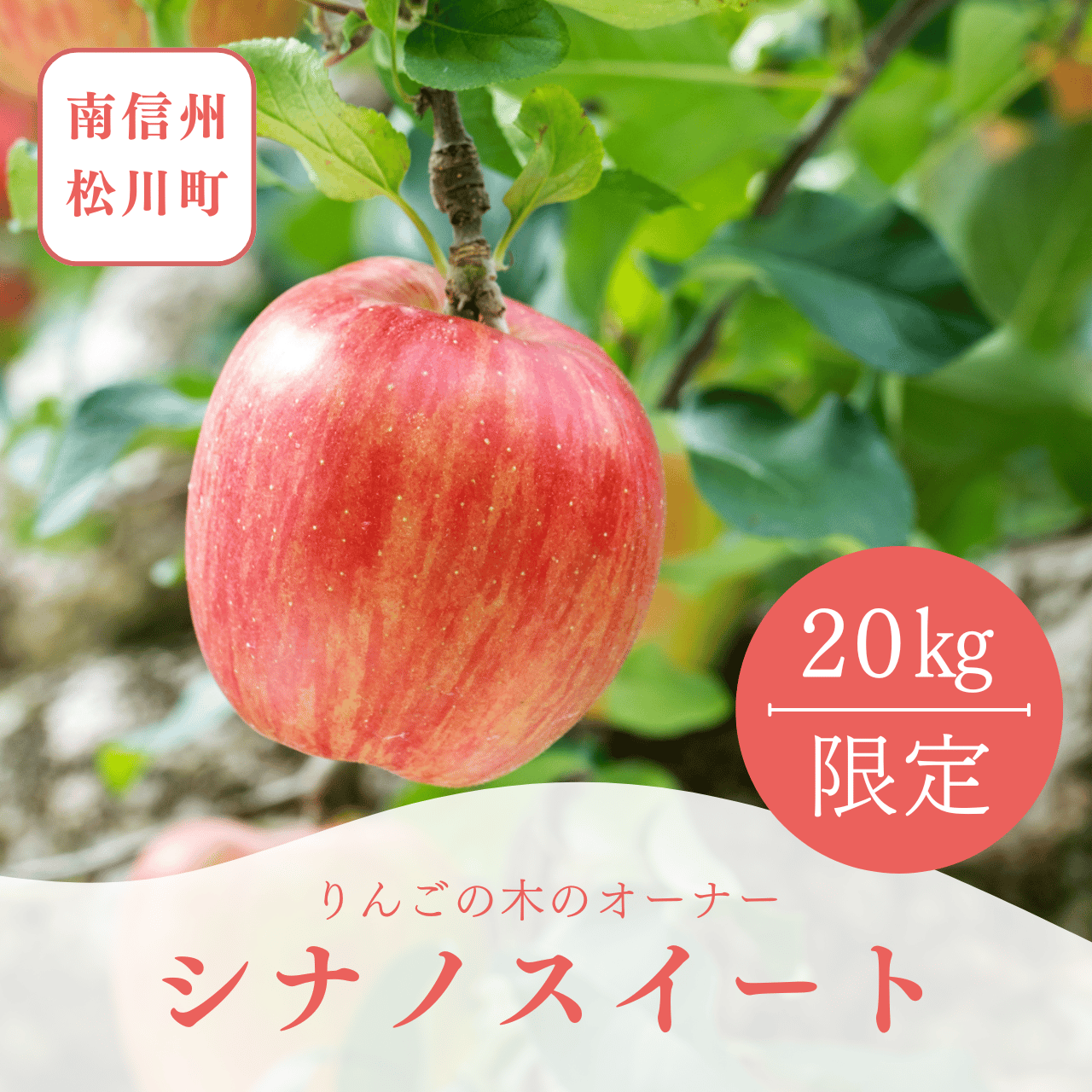 えりんこ打ち合わせページ 2026｜20kg限定コース｜シナノスイート | 南信州松川町〚果樹の