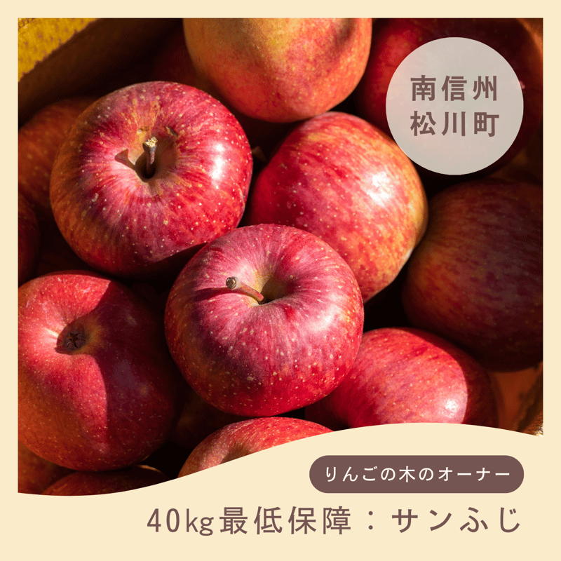 40kg最低保障コース【サンふじ】 | 【南信州まつかわ】りんご・なしの