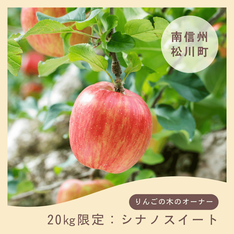 20kg限定コース【シナノスイート】 | 【南信州まつかわ】りんご・なし