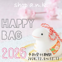 🎍🛍️Happy Bag 2025🐍🧧