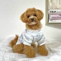サマーニット