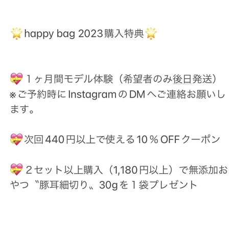 happy bag 2023