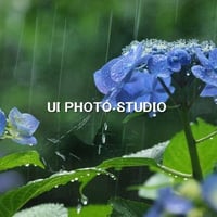 六月の雨