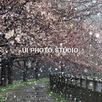 春なのに
