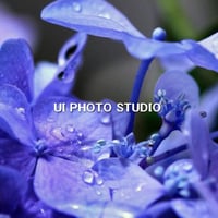雨上がる