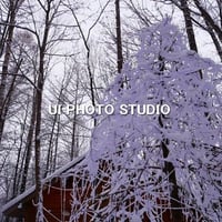 着雪