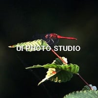 秋ひとつ