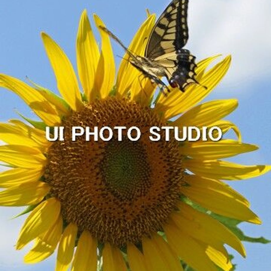 6305ed8f8a3ee82decdbc423