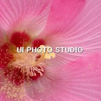桃色吐息