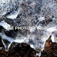 氷紋