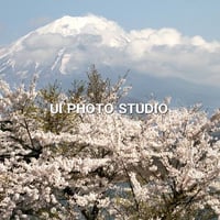 イヨッ、日本一！