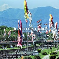 端午の節句