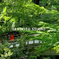 新緑の候