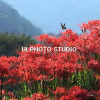 万感の秋