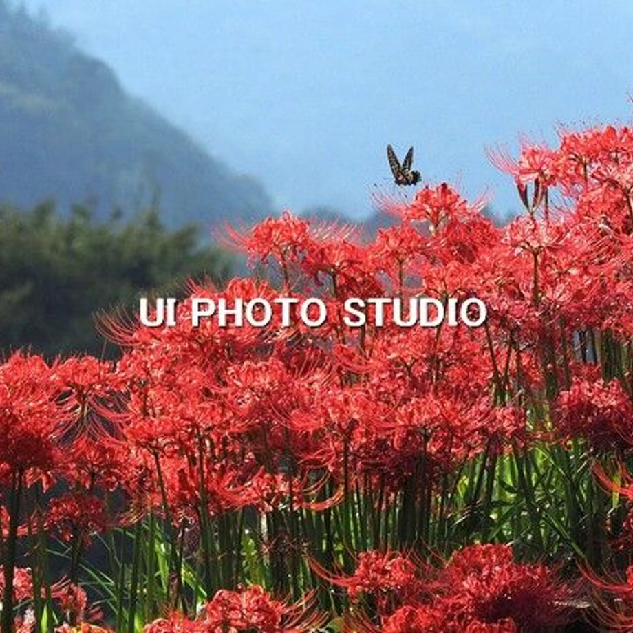 6306cd4884bcfd461cccb80a
