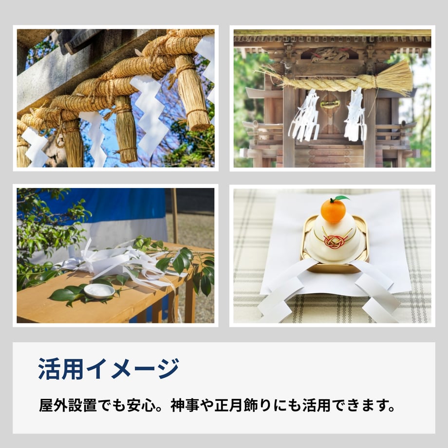 656ffb28d49326057e065032