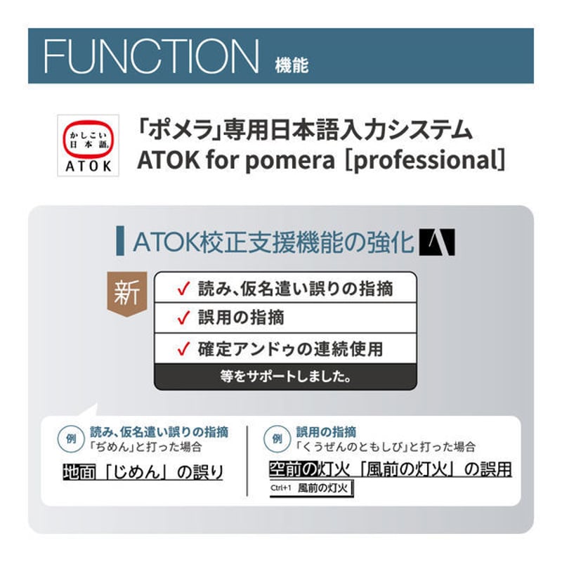 デジタルメモ ポメラ 本体 ダークグレー DM250 +専用ケース デジタルメモ ポメラ 本体 ダークグレー DM250 +専用ケース