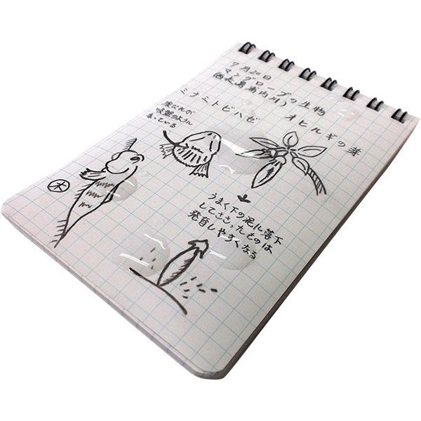 fit=scale-down,w=1200