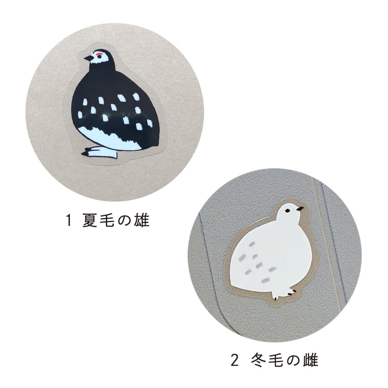 耐水透明 雷鳥ステッカー | HIGASHI ALPS SHOP