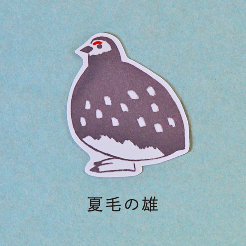 雷鳥のメッセージカード | HIGASHI ALPS SHOP