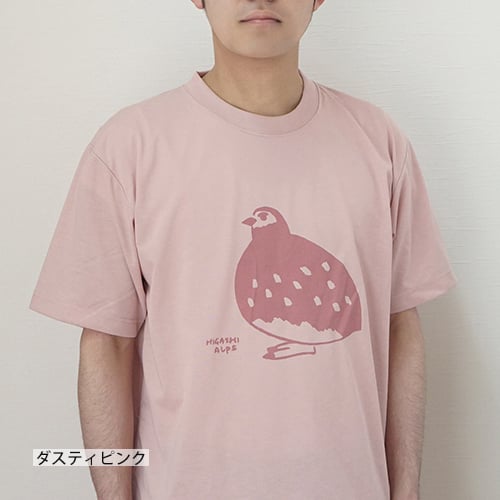 新品・未使用♡ misha&puff バード柄 鳥柄 Tシャツ ♡ 夏毛の雷鳥 dryTシャツ（2色） | HIGASHI ALPS SHOP
