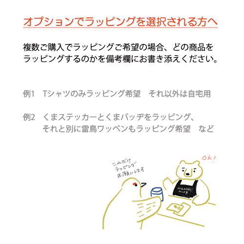 新品☆激レア JRパネラマ型 雷鳥号バッチ 新品☆激レア JRパネラマ