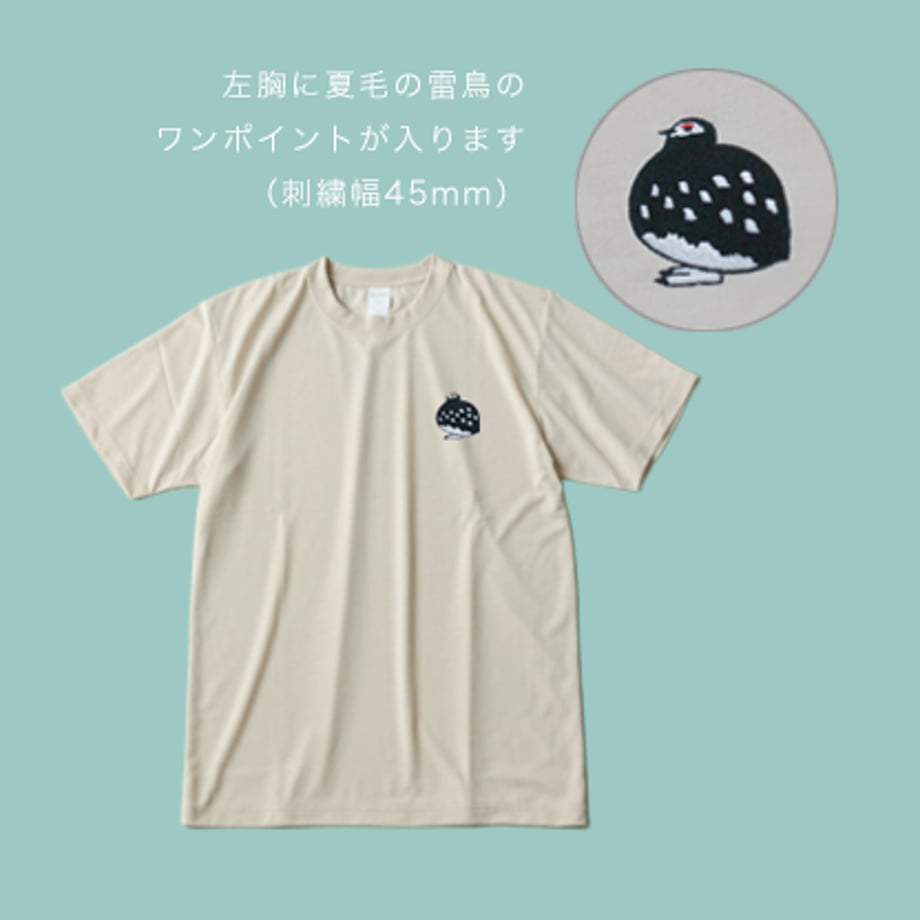 69fbf70d9ddf7219b372d312