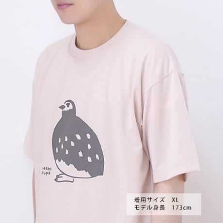 夏毛の雷鳥 dryTシャツ（２色）