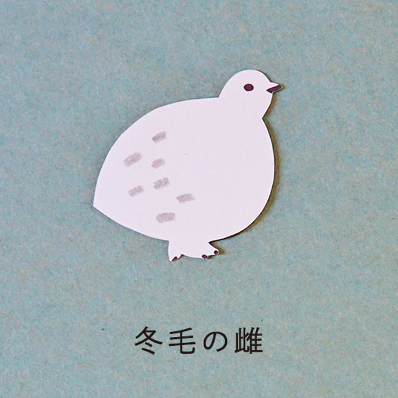雷鳥のメッセージカード | HIGASHI ALPS SHOP