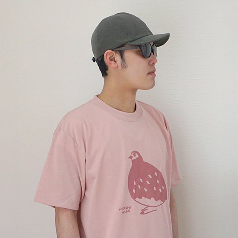 夏毛の雷鳥 dryTシャツ（2色） | HIGASHI ALPS SHOP