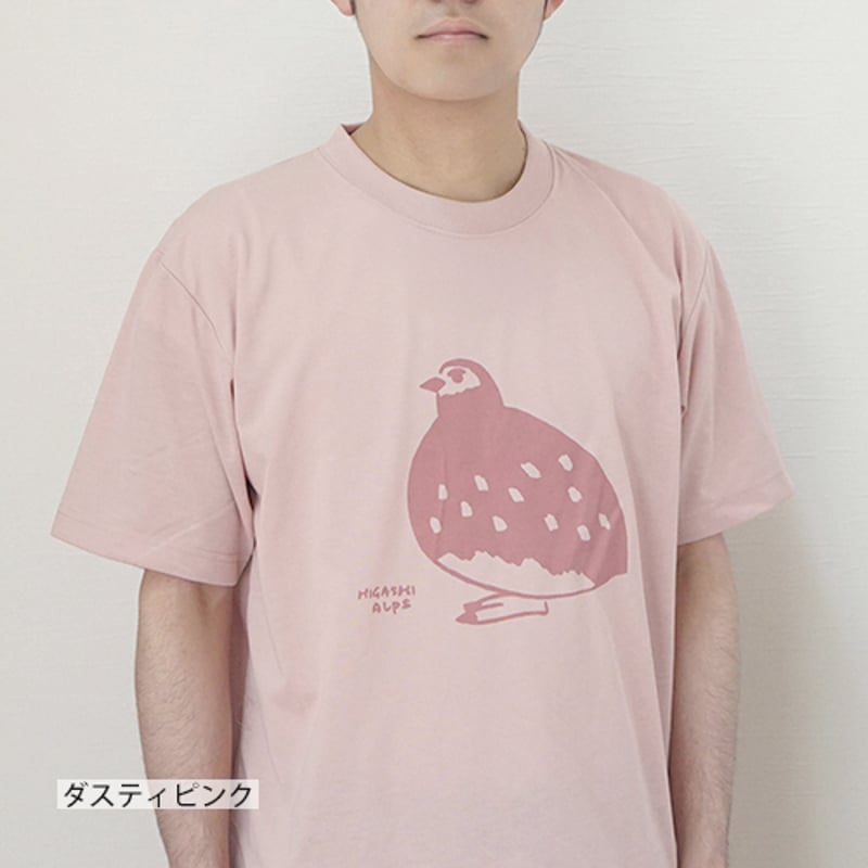 夏毛の雷鳥 dryTシャツ（2色） | HIGASHI ALPS SHOP