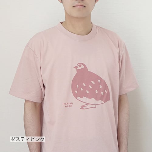 Flappy Bird フラッピーバード Tシャツ (古着) 夏毛の雷鳥 dryTシャツ（2色） | HIGASHI ALPS SHOP